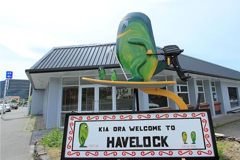 Photo of property in 31 Main Road, Havelock, 7100