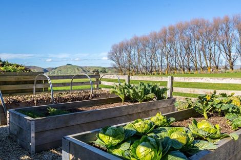 Photo of property in 80616 Masterton Road, Woodville, 4999