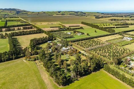 Photo of property in 328 Purchas Road, Glasnevin, Amberley, 7482