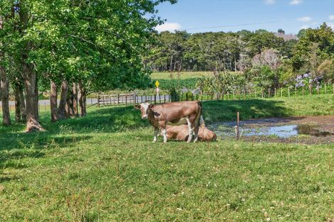 Photo of property in 386 South Road, Waipu, 0582