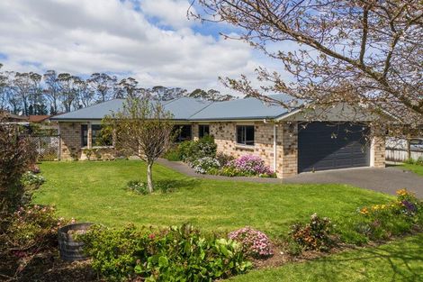 Photo of property in 45 Wills Road, Katikati, 3129