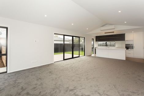 Photo of property in 24a Oxford Street, Hampstead, Ashburton, 7700
