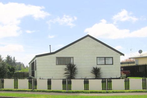 Photo of property in 10 Gummer Place, Morrinsville, 3300