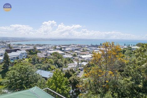 Photo of property in 23 Denholm Road, Hospital Hill, Napier, 4110