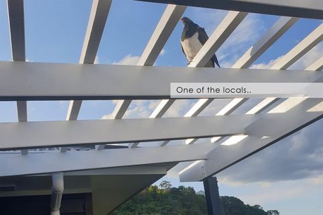 Photo of property in 16 Pine Grove, Tairua, 3508