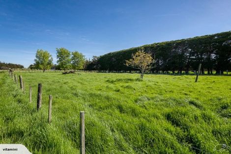 Photo of property in 247 Seabridge Road, Motukarara, Christchurch, 7672