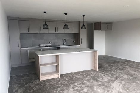 Photo of property in 8 Puhakehake Place, Flat Bush, Auckland, 2019