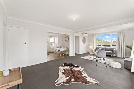 Photo of property in 20b Frank Hewitt Street, Pukekohe, 2120