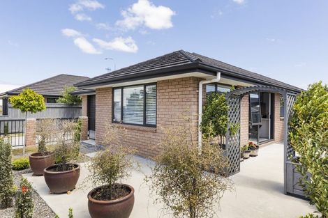 Photo of property in 84 Pascal Street, Takaro, Palmerston North, 4412