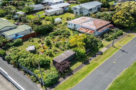 Photo of property in 201 Robert Street, Thames, 3500