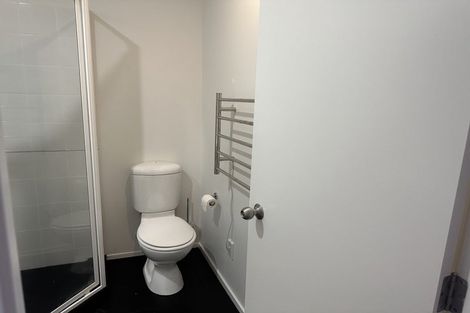 Photo of property in 8a Madeira Lane, Grafton, Auckland, 1023
