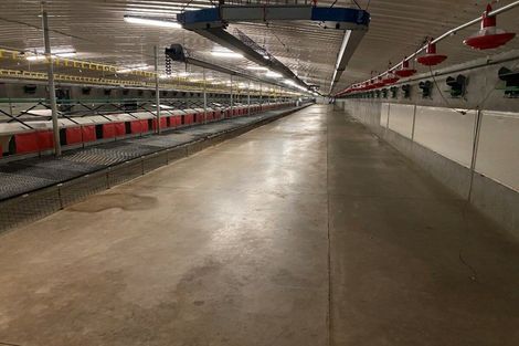 Photo of property in 116 Ngatimaru Road, Tikorangi, Waitara, 4383