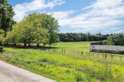 Photo of property in 38 Abbotts Way, Remuera, Auckland, 1050
