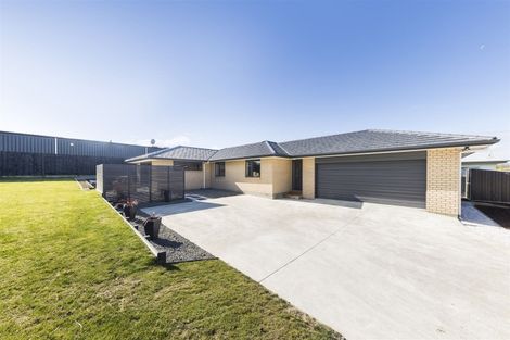 Photo of property in 8 Poplar Grove, Feilding, 4702
