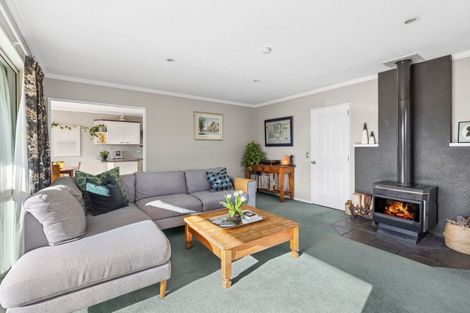 Photo of property in 92 Mount Iron Drive, Wanaka, 9305