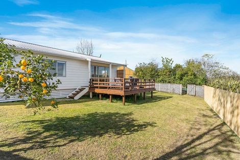 Photo of property in 21 Hinerua Street, Maungatapu, Tauranga, 3112
