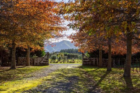 Photo of property in 881a Norfolk Road, Upper Plain, Carterton, 5791