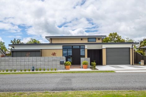 Photo of property in 31 Tarata Grove, Lansdowne, Masterton, 5810