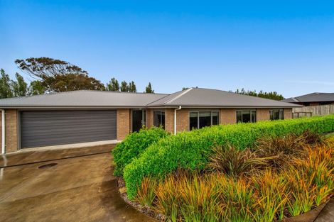 Photo of property in 7 Nikau Place, Hawera, 4610