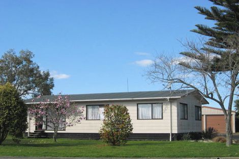 Photo of property in 62 Main Street, Edgecumbe, 3120