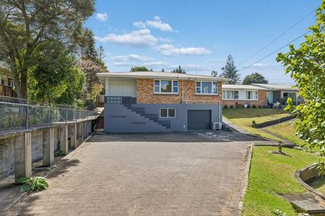 Photo of property in 69 Rayner Road, Huntly, 3700