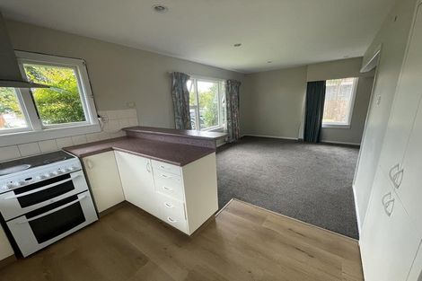 Photo of property in 25 Greenhurst Street, Sockburn, Christchurch, 8042