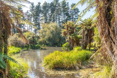 Photo of property in 13 Willow Brook Lane, Te Kowhai, Hamilton, 3288