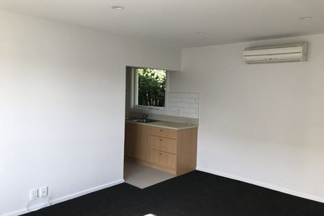 Photo of property in 30 Whitmore Street, Edgeware, Christchurch, 8013