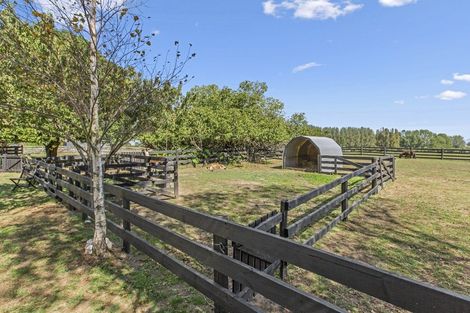 Photo of property in 85 Tarr Road, Ohaupo, 3881