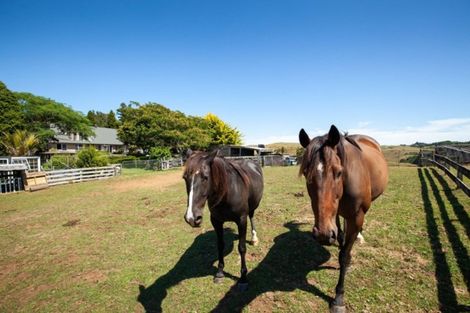 Photo of property in 58 Atkinson Road, Hurworth, New Plymouth, 4371