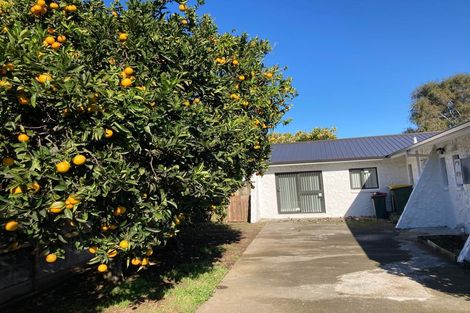 Photo of property in 10 Gulliver Place, Conifer Grove, Takanini, 2112