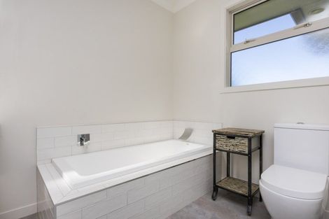 Photo of property in 60 Beechwood Road, Feilding, 4779