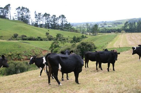 Photo of property in 862 Mountain Road, Waiongana, Inglewood, 4389