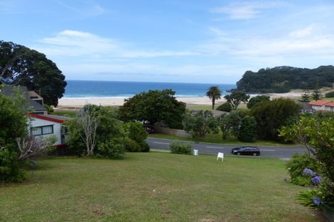 Photo of property in 119 Bambury Place, Onemana, Whangamata, 3691