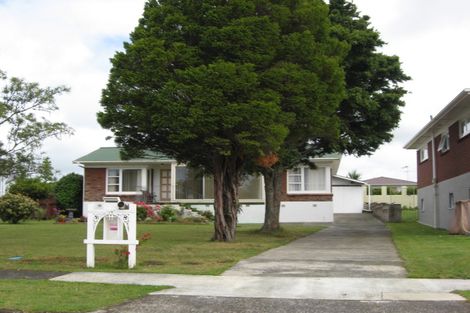 Photo of property in 17 Paterson Avenue, Pukekohe, 2120
