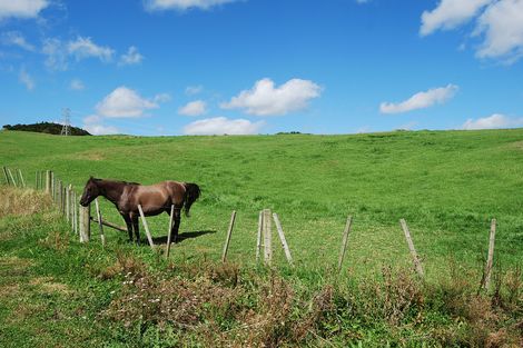 Photo of property in 62 Kiwi Lane, Kaiwaka, 0573