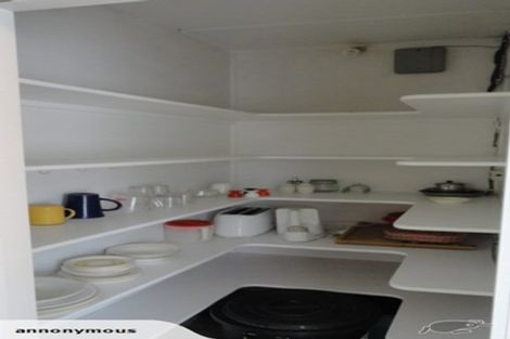 Photo of property in 12 Wellington Street, Hamilton East, Hamilton, 3216