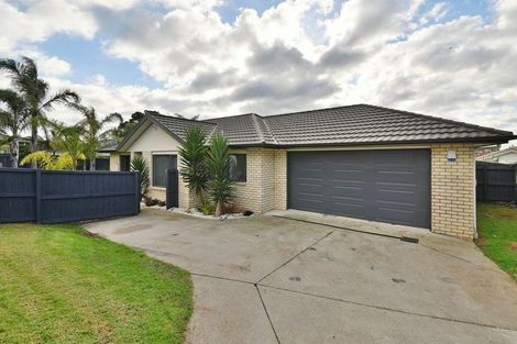 Photo of property in 33 Pitt Avenue, Clendon Park, Auckland, 2103