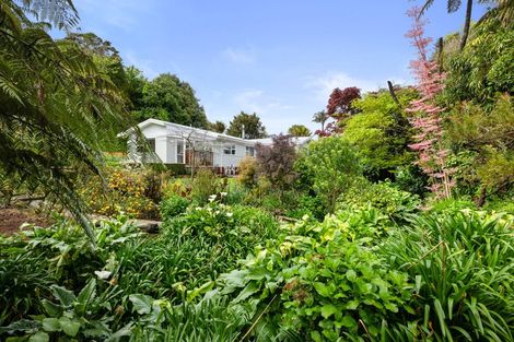 Photo of property in 5b Wayne Place, Ferndale, New Plymouth, 4310