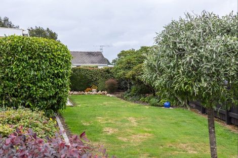 Photo of property in 103 Hillcrest Street, Solway, Masterton, 5810