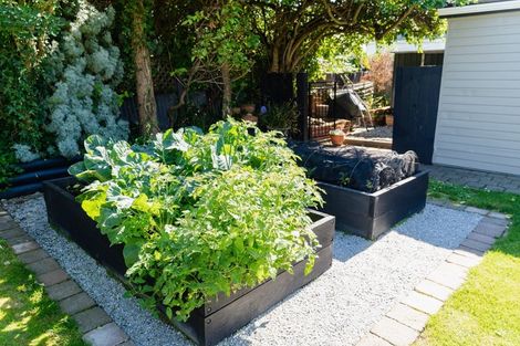 Photo of property in 166 Victoria Road, Saint Clair, Dunedin, 9012