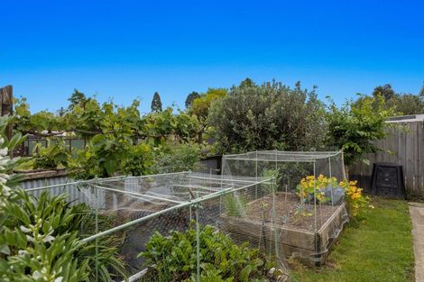 Photo of property in 13 Martin Place, Whakatane, 3120