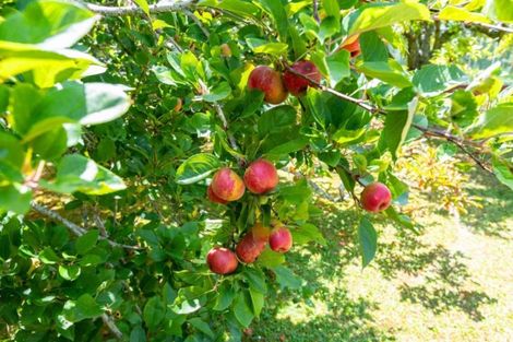 Photo of property in 704 State Highway 1, Wellsford, 0975