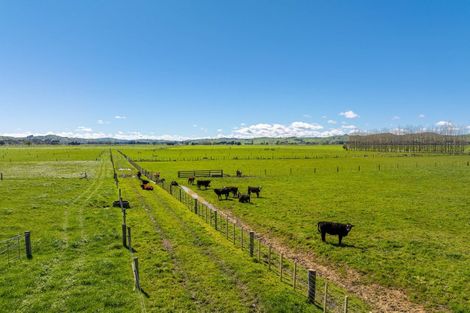 Photo of property in 211 Castlepoint Road, Te Ore Ore, Masterton, 5886