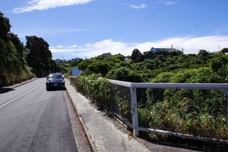 Photo of property in 56 Farnham Street, Mornington, Wellington, 6021