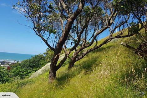 Photo of property in 41 Mowhanau Drive, Kai Iwi, Wanganui, 4574