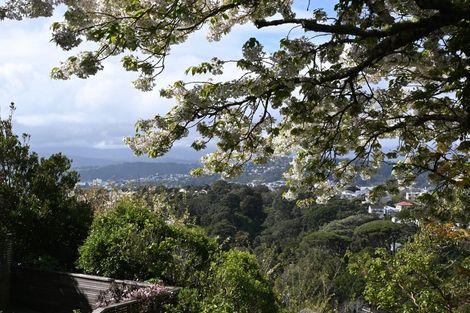 Photo of property in 47 Harbour View Road, Northland, Wellington, 6012