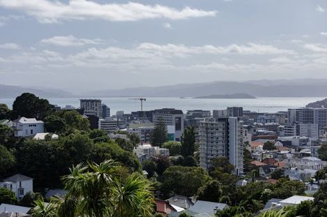 Photo of property in 9 Durham Crescent, Aro Valley, Wellington, 6021