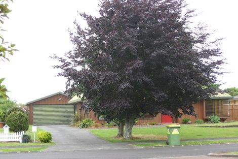 Photo of property in 17 Donegan Place, Conifer Grove, Takanini, 2112