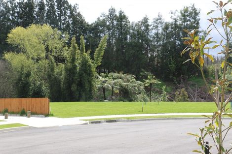 Photo of property in 16 Layla Place, Katikati, 3178